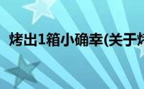 烤出1箱小确幸(关于烤出1箱小确幸的简介)