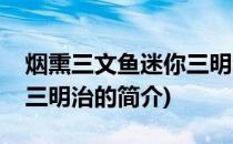 烟熏三文鱼迷你三明治(关于烟熏三文鱼迷你三明治的简介)