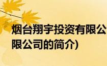 烟台翔宇投资有限公司(关于烟台翔宇投资有限公司的简介)