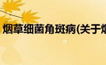 烟草细菌角斑病(关于烟草细菌角斑病的简介)