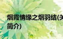 烟霞情缘之烟羽结(关于烟霞情缘之烟羽结的简介)