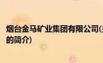 烟台金马矿业集团有限公司(关于烟台金马矿业集团有限公司的简介)