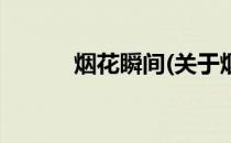 烟花瞬间(关于烟花瞬间的简介)