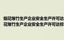 烟花爆竹生产企业安全生产许可达标及许可证实施办法实用手册(关于烟花爆竹生产企业安全生产许可达标及许可证实施办法实用手册的简介)