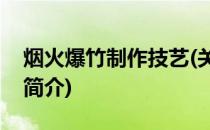 烟火爆竹制作技艺(关于烟火爆竹制作技艺的简介)