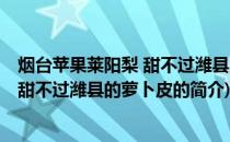 烟台苹果莱阳梨 甜不过潍县的萝卜皮(关于烟台苹果莱阳梨 甜不过潍县的萝卜皮的简介)