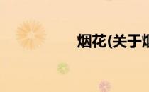 烟花(关于烟花的简介)