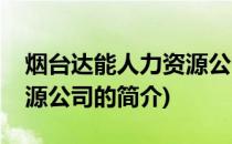烟台达能人力资源公司(关于烟台达能人力资源公司的简介)