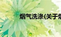 烟气洗涤(关于烟气洗涤的简介)