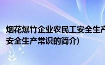 烟花爆竹企业农民工安全生产常识(关于烟花爆竹企业农民工安全生产常识的简介)