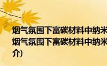 烟气氛围下富碳材料中纳米孔隙的形成及演变机制研究(关于烟气氛围下富碳材料中纳米孔隙的形成及演变机制研究的简介)