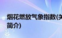烟花燃放气象指数(关于烟花燃放气象指数的简介)