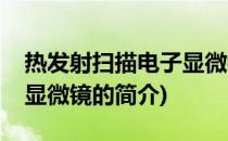 热发射扫描电子显微镜(关于热发射扫描电子显微镜的简介)