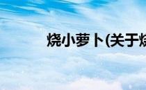 烧小萝卜(关于烧小萝卜的简介)