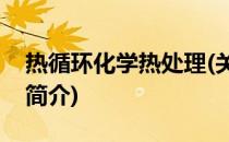 热循环化学热处理(关于热循环化学热处理的简介)