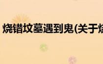 烧错坟墓遇到鬼(关于烧错坟墓遇到鬼的简介)