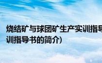 烧结矿与球团矿生产实训指导书(关于烧结矿与球团矿生产实训指导书的简介)