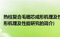 热柱复合毛细芯成形机理及性能研究(关于热柱复合毛细芯成形机理及性能研究的简介)