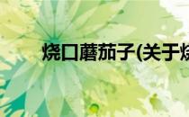 烧口蘑茄子(关于烧口蘑茄子的简介)