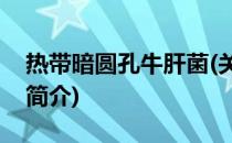 热带暗圆孔牛肝菌(关于热带暗圆孔牛肝菌的简介)