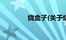 烧盒子(关于烧盒子的简介)