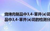烧烤肉制品中3,4-苯并(a)芘的检测分析研究(关于烧烤肉制品中3,4-苯并(a)芘的检测分析研究的简介)