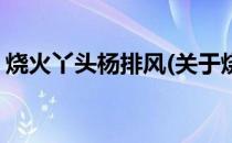 烧火丫头杨排风(关于烧火丫头杨排风的简介)