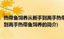 热带鱼饲养从新手到高手热带鱼饲养(关于热带鱼饲养从新手到高手热带鱼饲养的简介)