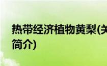 热带经济植物黄梨(关于热带经济植物黄梨的简介)