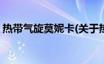 热带气旋莫妮卡(关于热带气旋莫妮卡的简介)