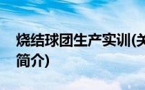 烧结球团生产实训(关于烧结球团生产实训的简介)