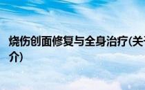 烧伤创面修复与全身治疗(关于烧伤创面修复与全身治疗的简介)