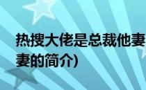 热搜大佬是总裁他妻(关于热搜大佬是总裁他妻的简介)