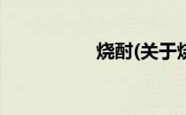 烧酎(关于烧酎的简介)