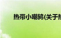热带小嘲鸫(关于热带小嘲鸫的简介)