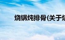 烧锅炖排骨(关于烧锅炖排骨的简介)