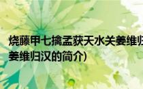 烧藤甲七擒孟获天水关姜维归汉(关于烧藤甲七擒孟获天水关姜维归汉的简介)