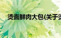 烫面鲜肉大包(关于烫面鲜肉大包的简介)