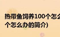 热带鱼饲养100个怎么办(关于热带鱼饲养100个怎么办的简介)
