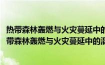 热带森林轰燃与火灾蔓延中的混沌机理及其智能预测(关于热带森林轰燃与火灾蔓延中的混沌机理及其智能预测的简介)