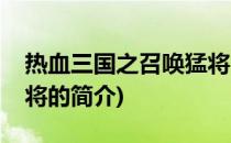 热血三国之召唤猛将(关于热血三国之召唤猛将的简介)