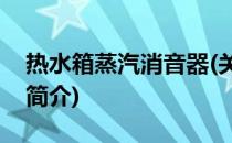 热水箱蒸汽消音器(关于热水箱蒸汽消音器的简介)