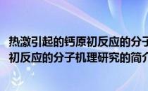 热激引起的钙原初反应的分子机理研究(关于热激引起的钙原初反应的分子机理研究的简介)