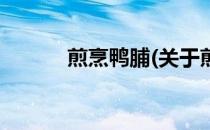 煎烹鸭脯(关于煎烹鸭脯的简介)