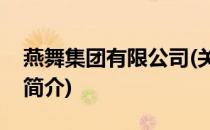 燕舞集团有限公司(关于燕舞集团有限公司的简介)