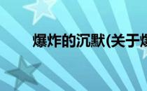 爆炸的沉默(关于爆炸的沉默的简介)