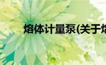 熔体计量泵(关于熔体计量泵的简介)