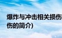 爆炸与冲击相关损伤(关于爆炸与冲击相关损伤的简介)