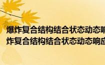 爆炸复合结构结合状态动态响应机理与检测方法研究(关于爆炸复合结构结合状态动态响应机理与检测方法研究的简介)