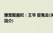 爆宠驱魔妃：王爷 捉鬼去(关于爆宠驱魔妃：王爷 捉鬼去的简介)